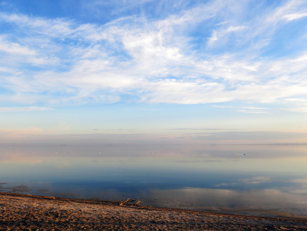The Salton Sea - California // TheOneWhereIMoveToCalifornia.weebly.com