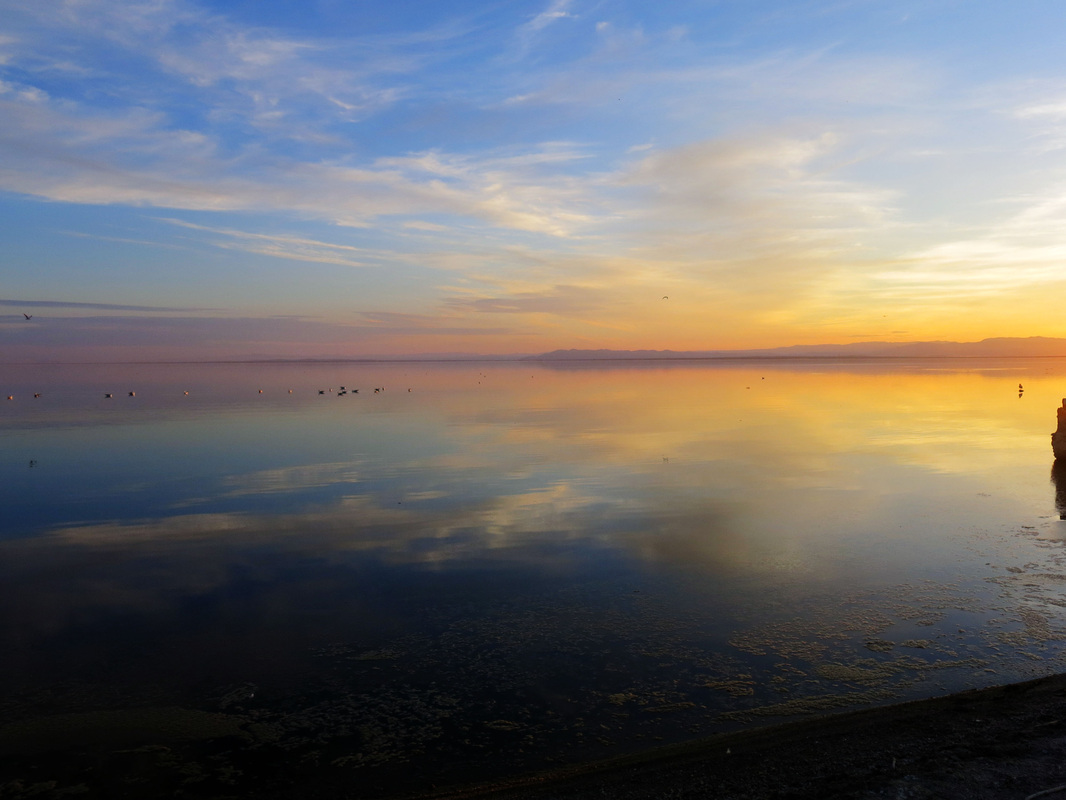 The Salton Sea - California // TheOneWhereIMoveToCalifornia.weebly.com
