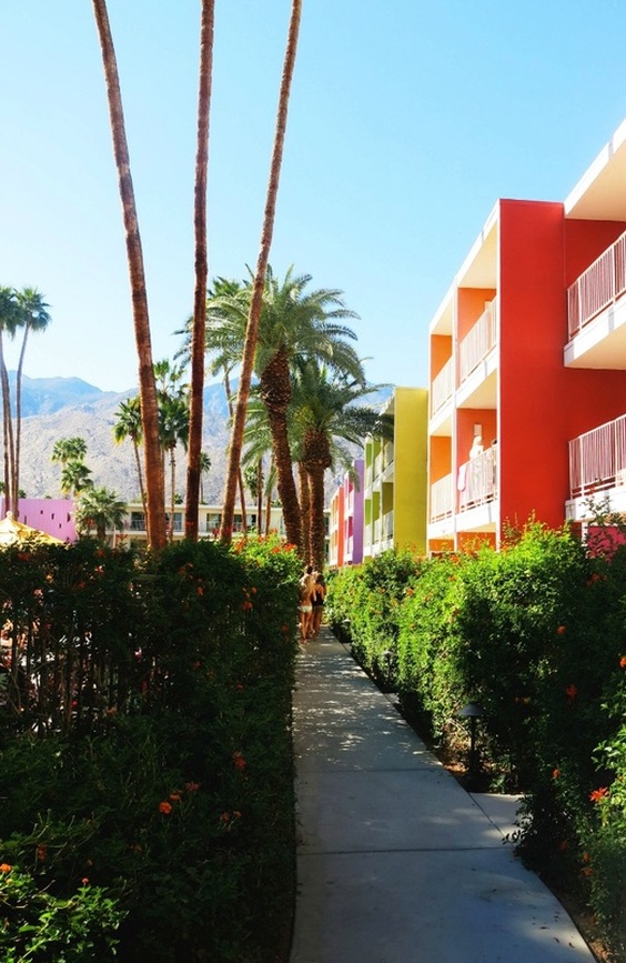 The Saguaro - Palm Springs California // TheOneWhereIMoveToCalifornia.weebly.com